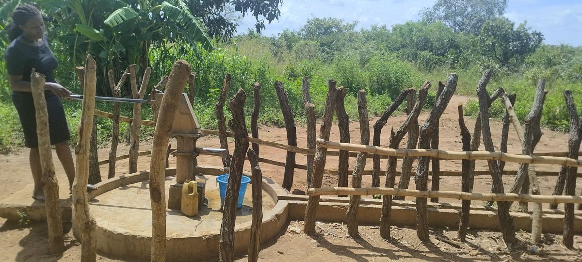 A woman pumping water at a fenced hand-pump borehole